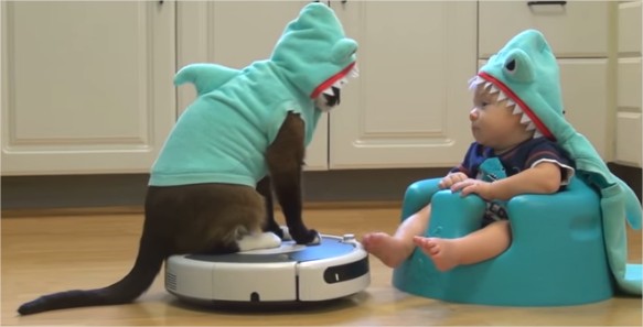 Un Chat Deguise En Requin Sur Un Robot Aspirateur Amuse Un Bebe Deguise En Requin Videos Mdr